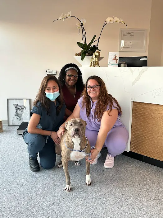 Rosecrans Veterinary Clinic 3
