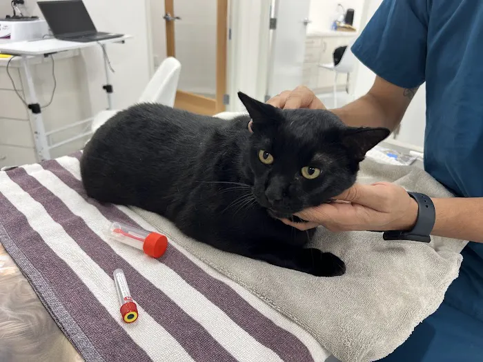 Rosecrans Veterinary Clinic 1