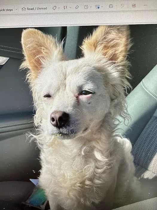 Rosecrans Veterinary Clinic 10
