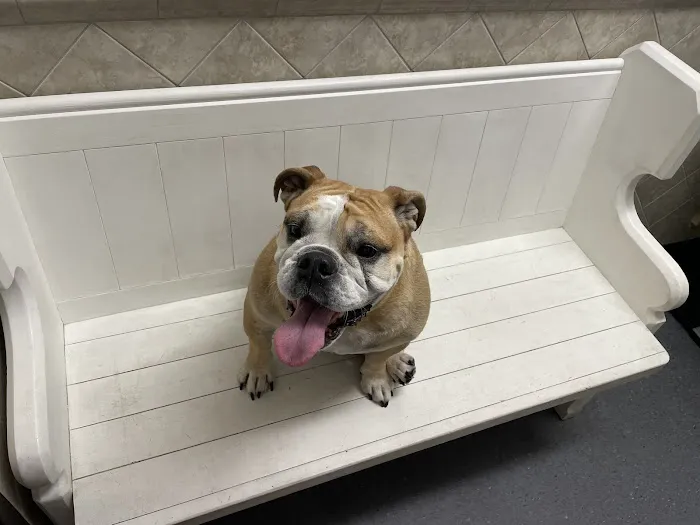 Family Pet Clinic of Redondo Beach 12
