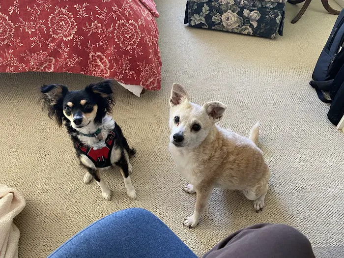 Family Pet Clinic of Redondo Beach 12