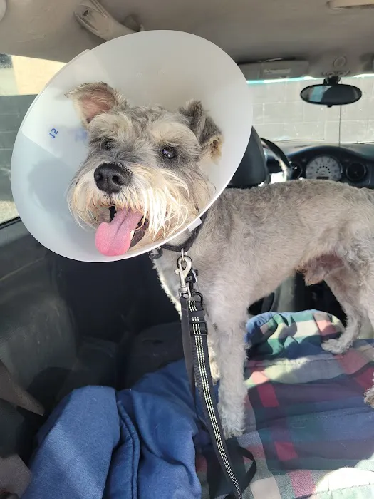 Los Angeles Veterinary Center 1