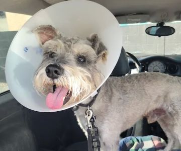 Los Angeles Veterinary Center