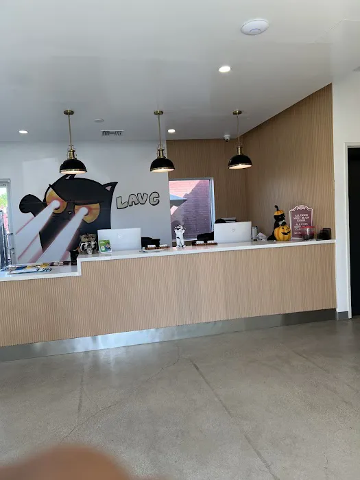 Los Angeles Veterinary Center 2