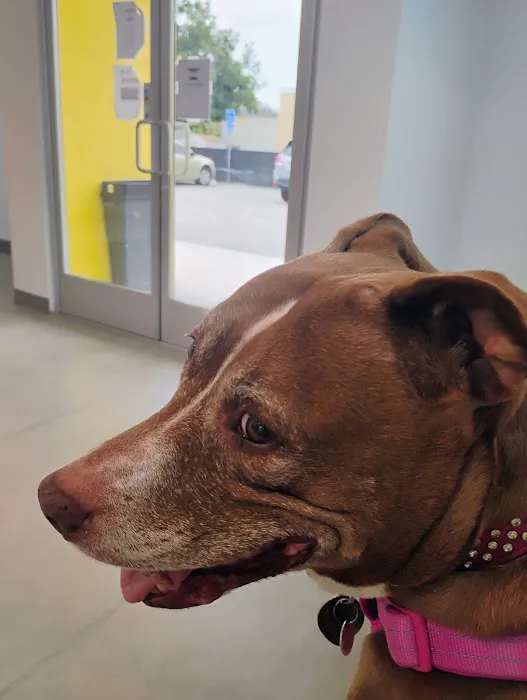 Los Angeles Veterinary Center 7