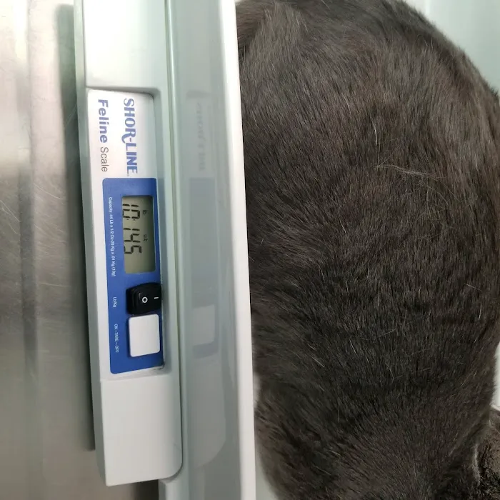 Washington Dog and Cat Hospital 3