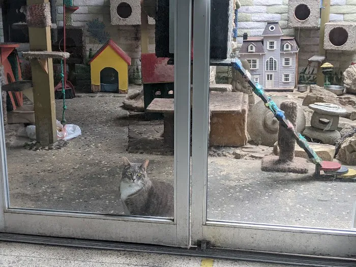 ARK ANIMAL HOSPITAL 7