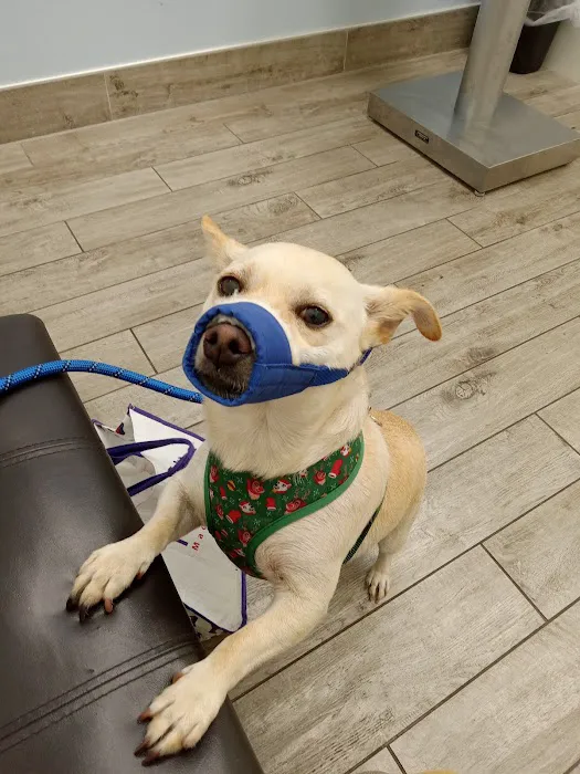 Vermont Animal Hospital 2