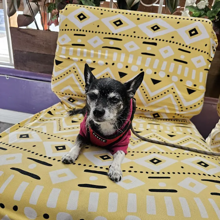 Ladera Pet Clinic 6