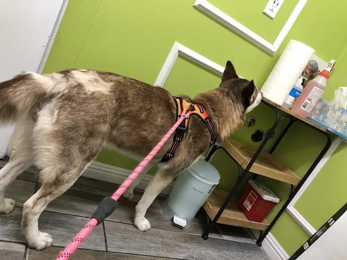 Ladera Pet Clinic 8