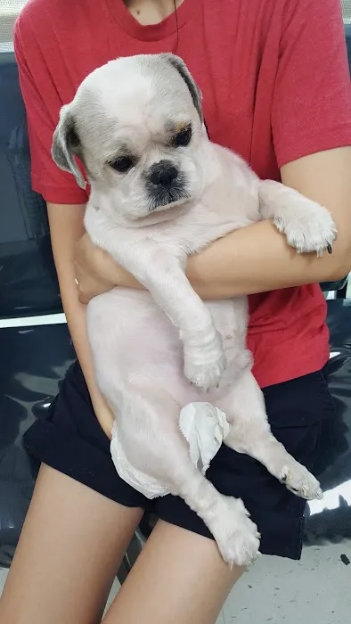 Western Animal Hospital 6