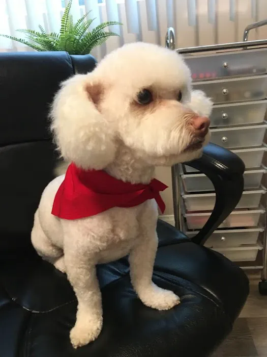 Western Animal Hospital 4