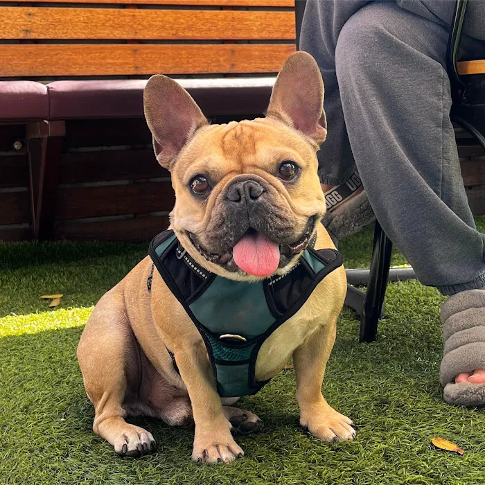 Western Animal Hospital 8