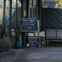 Airport Cities Animal Hospital ico