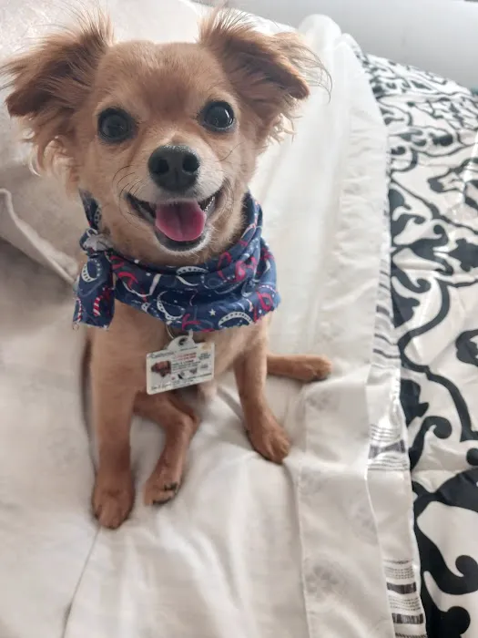 Airport Cities Animal Hospital 9