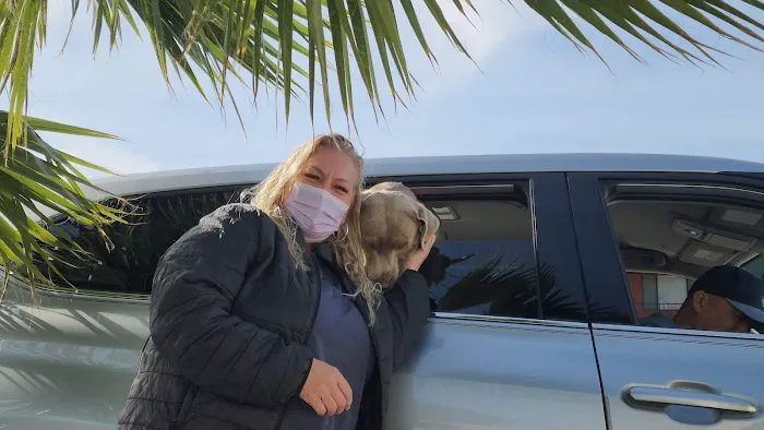 Airport Cities Animal Hospital 8