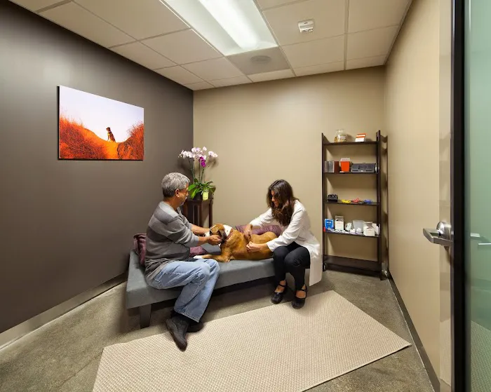DTLAvets - Wellness and Urgent Care Services 9