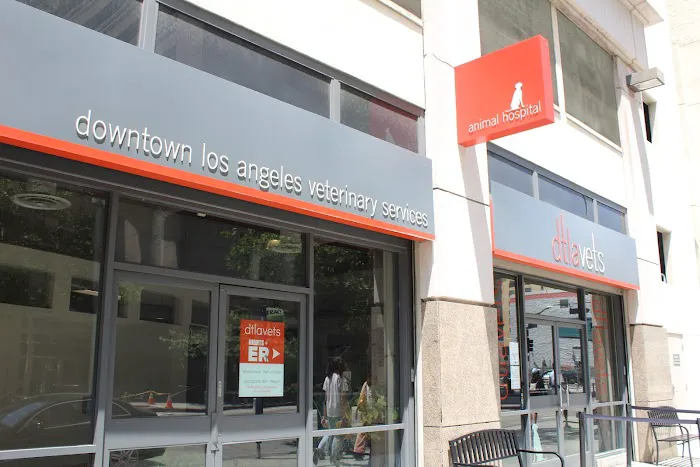 DTLAvets - Wellness and Urgent Care Services 2