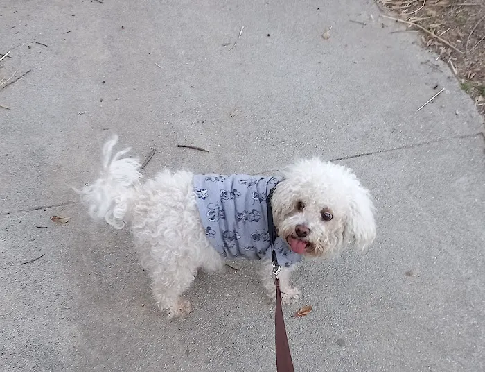 L A Central Animal Hospital 6