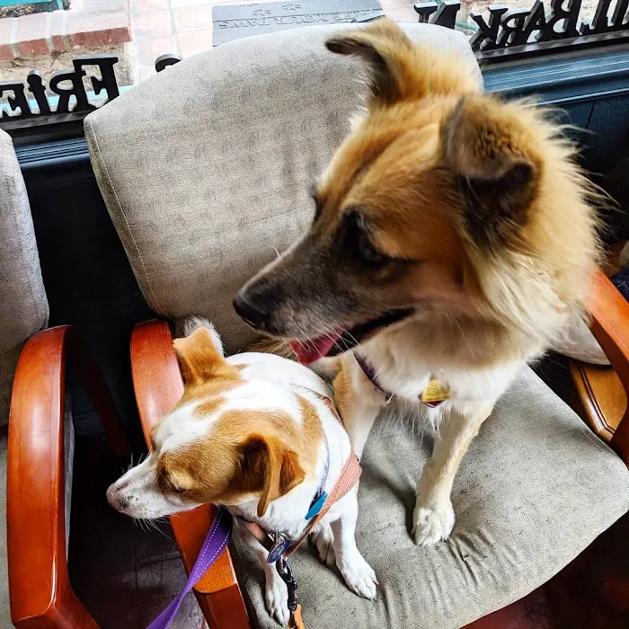 L A Central Animal Hospital 2