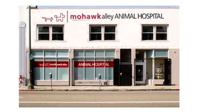 Mohawk Alley Animal Hospital 10