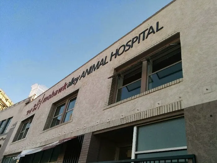 Mohawk Alley Animal Hospital 9