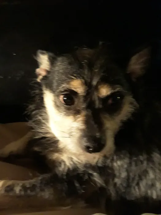 Western U - Spay/Neuter Center 2