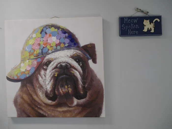 Avenue 26 Small Animal Hospital 12