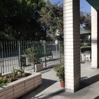Avenue 26 Small Animal Hospital ico