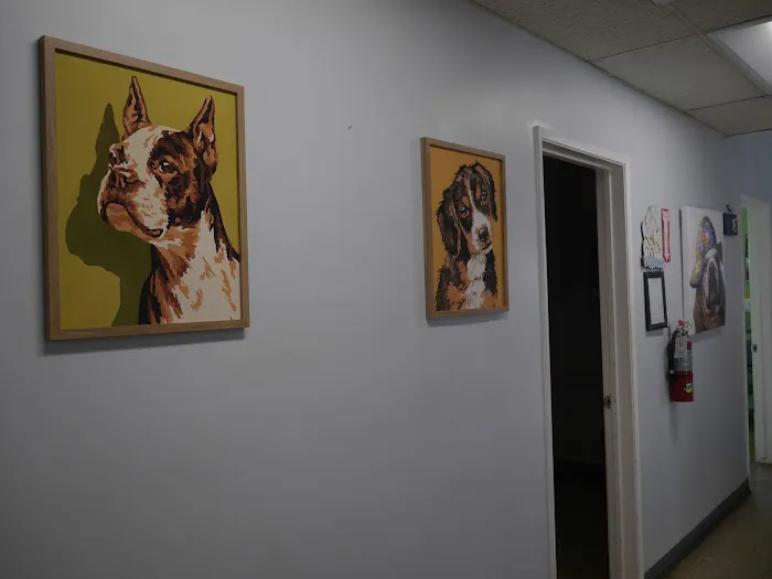 Avenue 26 Small Animal Hospital 12