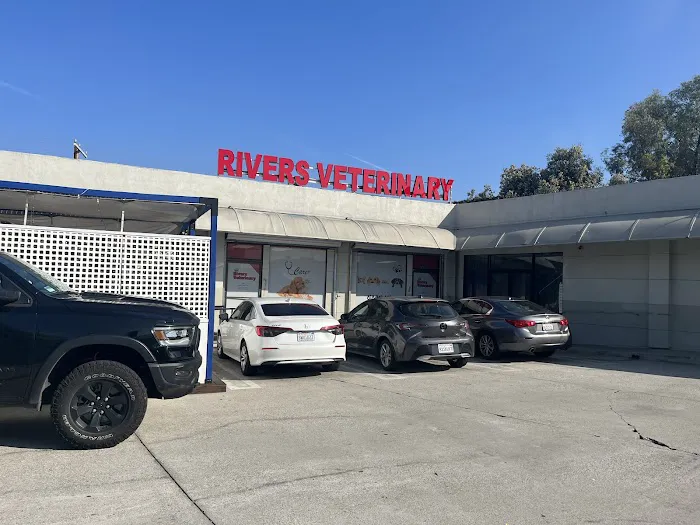 Rivers Veterinary 7