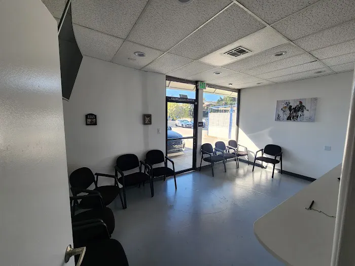 Rivers Veterinary 10