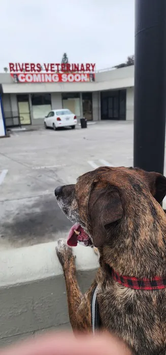 Rivers Veterinary 1