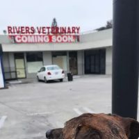 Rivers Veterinary ico