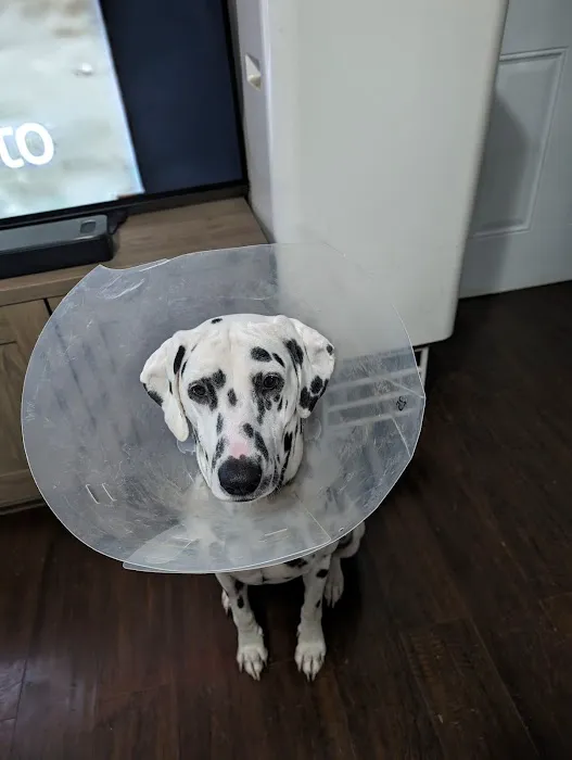 Rivers Veterinary 3
