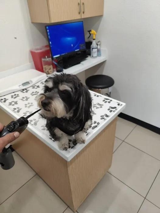 Shatto Veterinary Center 3