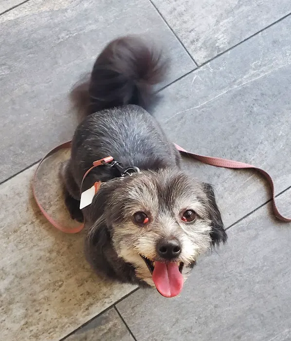Shatto Veterinary Center 6