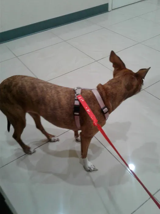 Shatto Veterinary Center 10