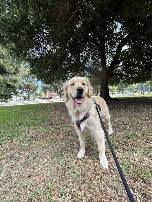 Low Cost Pet Vaccines of Silver Lake, California 2