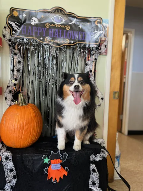 Alhambra Veterinary Hospital 2
