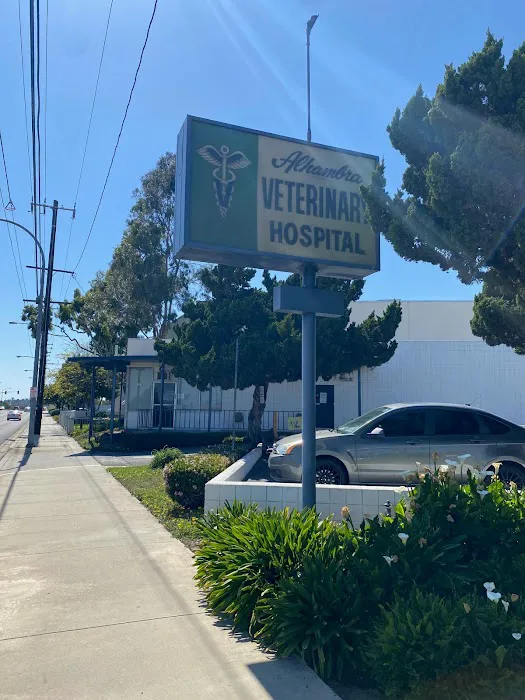 Alhambra Veterinary Hospital 5