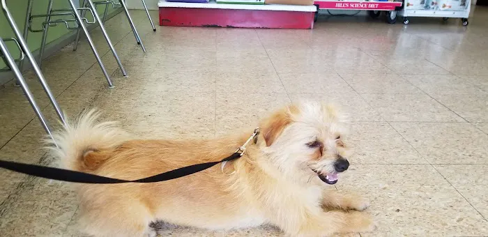Alhambra Veterinary Hospital 8