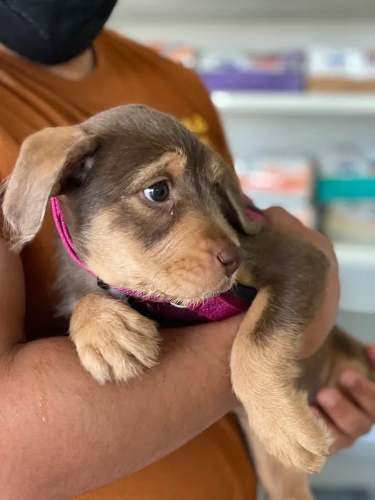 Alhambra Veterinary Hospital 10
