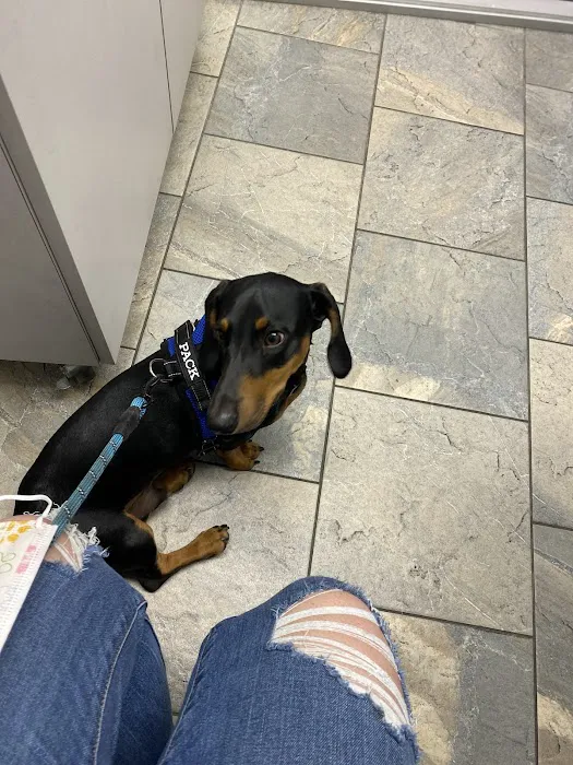 Westchester Veterinary Center and Cat Clinic 8