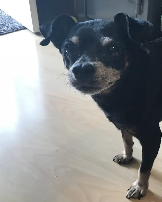 Fox Hills Animal Hospital 5
