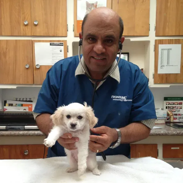 Fox Hills Animal Hospital 7