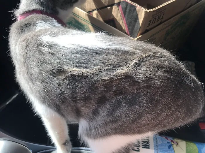 Banfield Pet Hospital 7