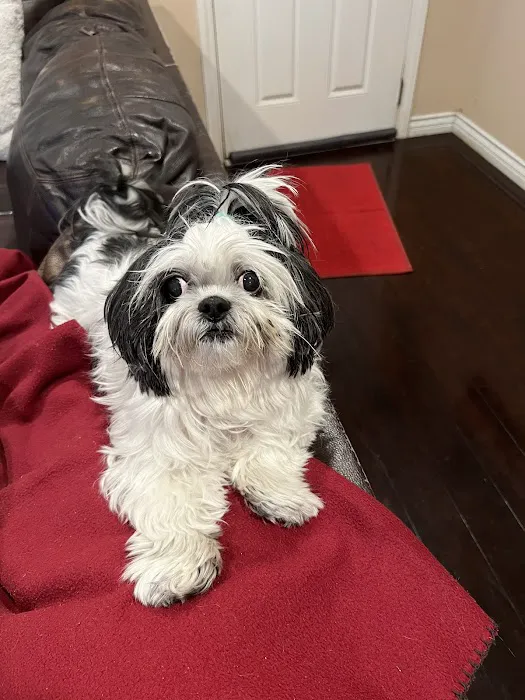 Banfield Pet Hospital 4