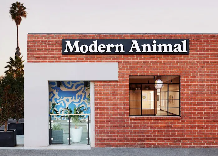 Modern Animal 12
