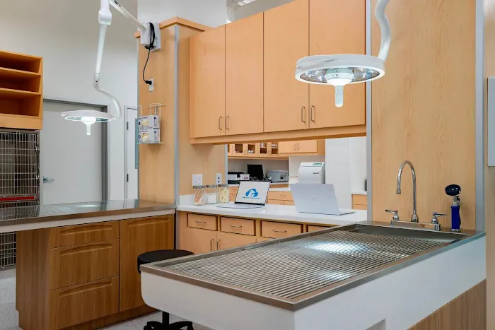 Cumulus Animal Hospital 6